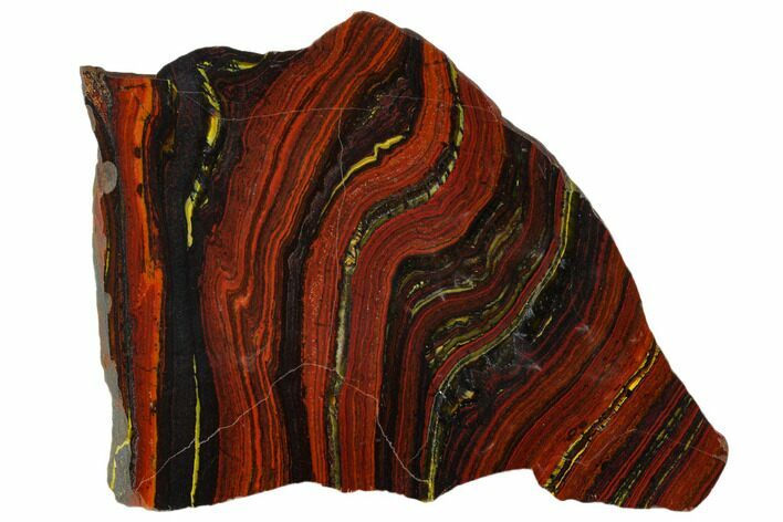 Polished Tiger Iron Stromatolite - Billion Years #129196